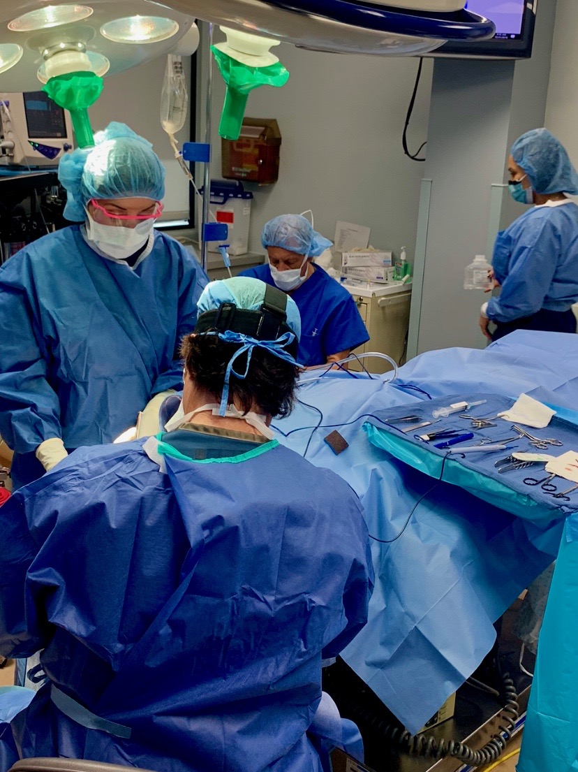 Team of professional surgeons performing surgery in operation room